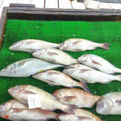海の釣堀 海恵 釣果