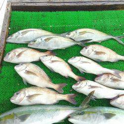海の釣堀 海恵 釣果