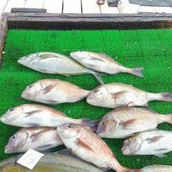 海の釣堀 海恵 釣果