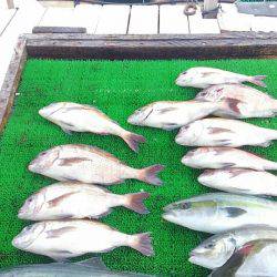 海の釣堀 海恵 釣果