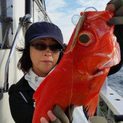 金沢八景鴨下丸 釣果