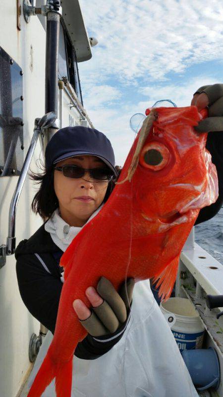 金沢八景鴨下丸 釣果