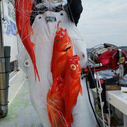 金沢八景鴨下丸 釣果