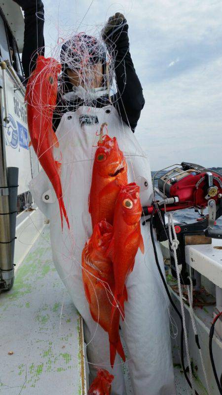 金沢八景鴨下丸 釣果