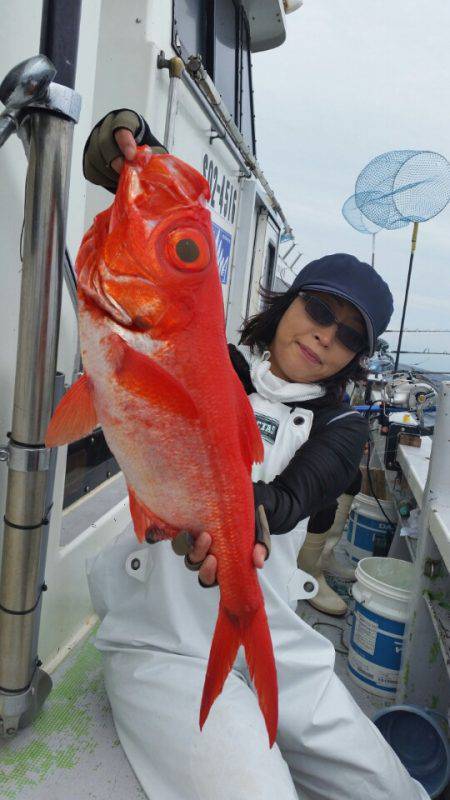 金沢八景鴨下丸 釣果