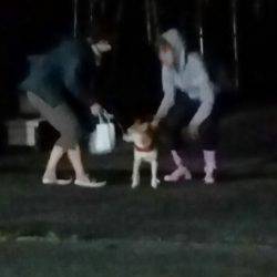 金沢八景鴨下丸 釣果