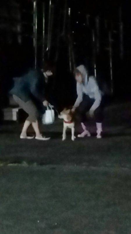 金沢八景鴨下丸 釣果