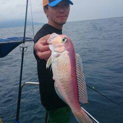 ARCADIAⅡ （アルカディアⅡ） 釣果