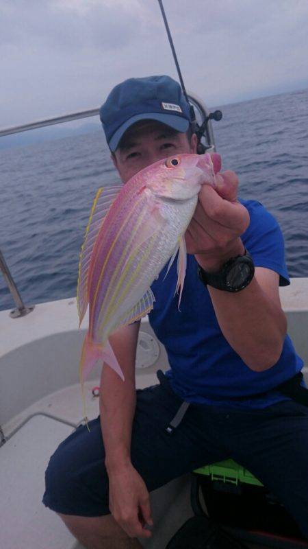 ARCADIAⅡ （アルカディアⅡ） 釣果