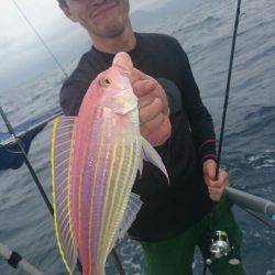 ARCADIAⅡ （アルカディアⅡ） 釣果