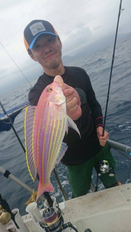 ARCADIAⅡ （アルカディアⅡ） 釣果