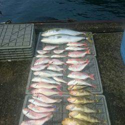 ARCADIAⅡ （アルカディアⅡ） 釣果