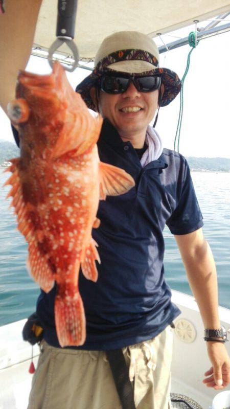 龍神丸(鹿児島) 釣果