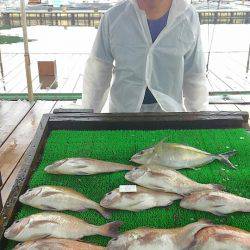 海の釣堀 海恵 釣果
