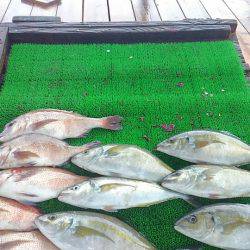 海の釣堀 海恵 釣果