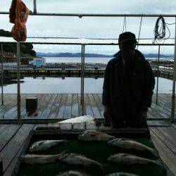 海の釣堀 海恵 釣果