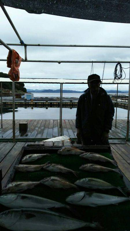 海の釣堀 海恵 釣果