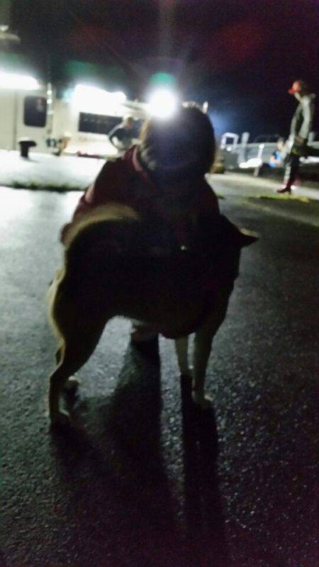 金沢八景鴨下丸 釣果