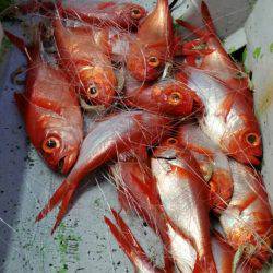 金沢八景鴨下丸 釣果