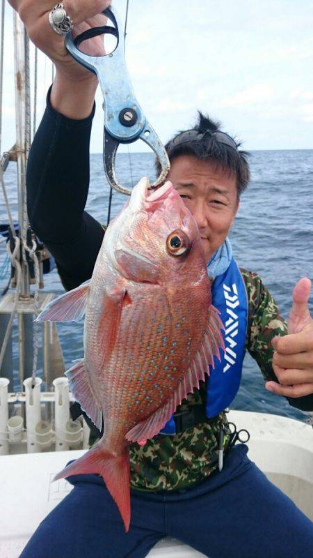 ARCADIAⅡ (アルカディアⅡ) 釣果