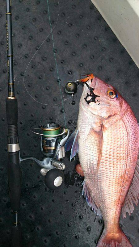 ARCADIAⅡ (アルカディアⅡ) 釣果