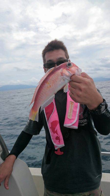 ARCADIAⅡ (アルカディアⅡ) 釣果