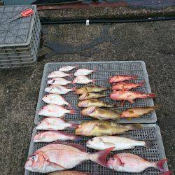 ARCADIAⅡ (アルカディアⅡ) 釣果