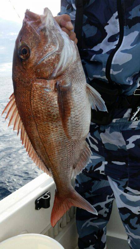 ブルドック 釣果