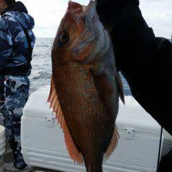 ブルドック 釣果