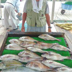 海の釣堀 海恵 釣果