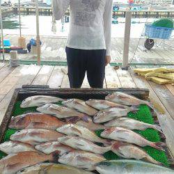 海の釣堀 海恵 釣果