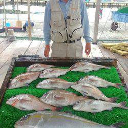 海の釣堀 海恵 釣果