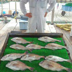 海の釣堀 海恵 釣果