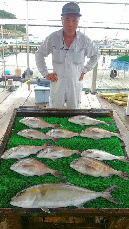 海の釣堀 海恵 釣果