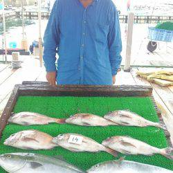 海の釣堀 海恵 釣果