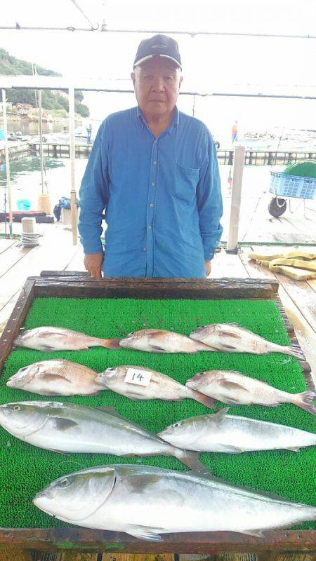 海の釣堀 海恵 釣果
