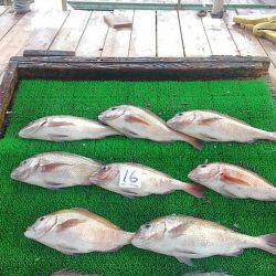 海の釣堀 海恵 釣果