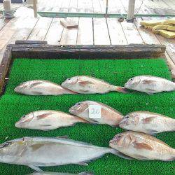 海の釣堀 海恵 釣果