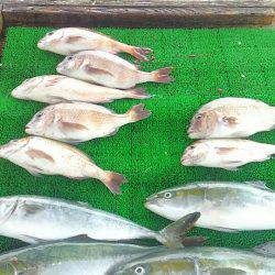 海の釣堀 海恵 釣果