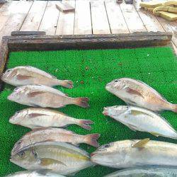 海の釣堀 海恵 釣果