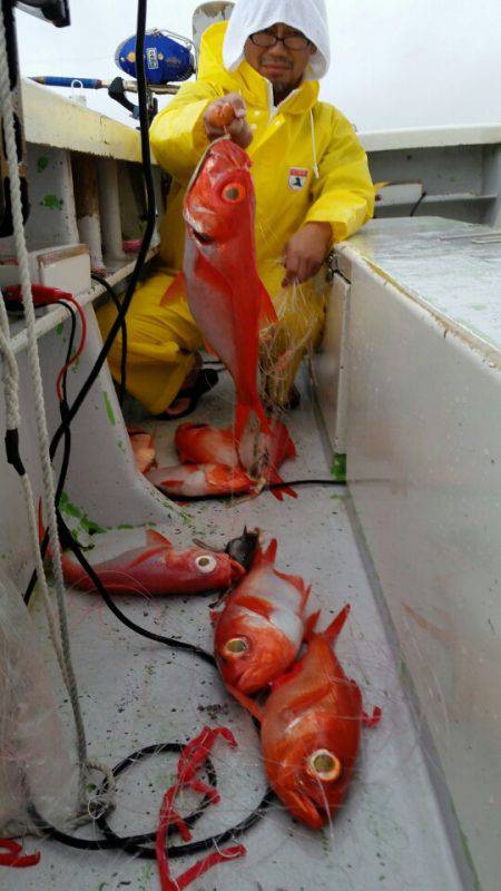 金沢八景鴨下丸 釣果