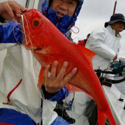金沢八景鴨下丸 釣果