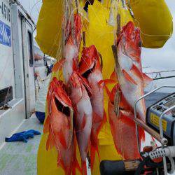 金沢八景鴨下丸 釣果