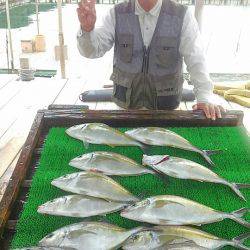 海の釣堀 海恵 釣果