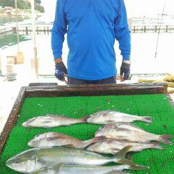 海の釣堀 海恵 釣果