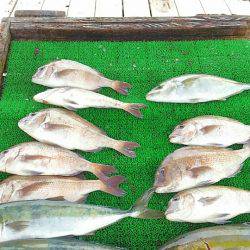 海の釣堀 海恵 釣果