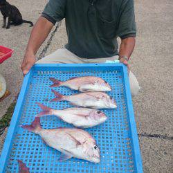 第三共栄丸 釣果