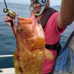 ARCADIAⅡ (アルカディアⅡ) 釣果