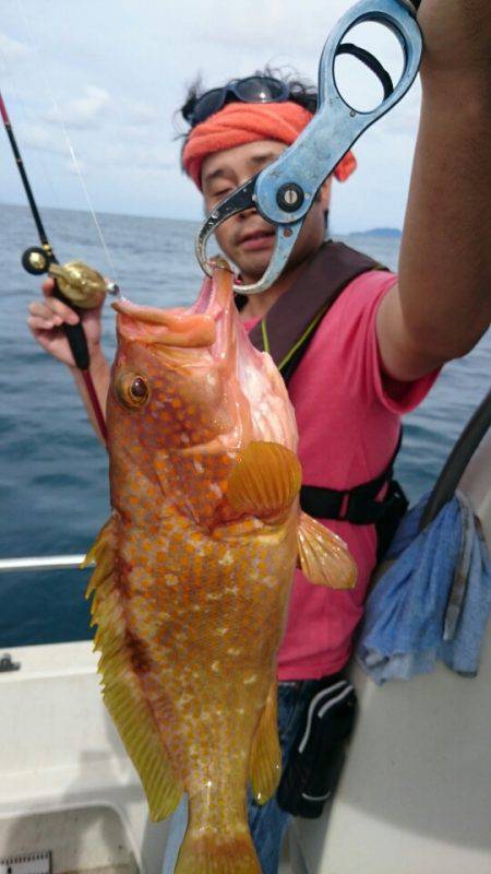 ARCADIAⅡ (アルカディアⅡ) 釣果