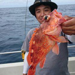 ARCADIAⅡ (アルカディアⅡ) 釣果